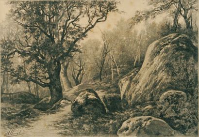 Auguste ALLONGE (1833 - 1888) Rocher dans la forêt de Fontainebleau Fusain 29 x 42...