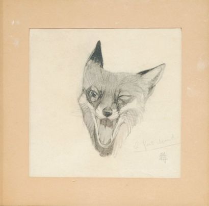 Mathurin MEHEUT (1882-1958) Il fait chaud (tête de renard) Fusain. Dessin au fusain...