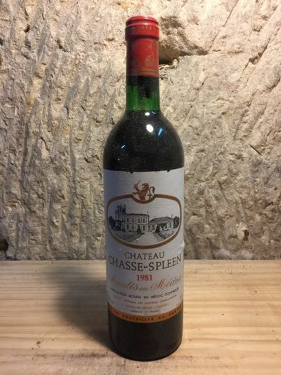 null 6 BLLE
Château CHASSE SPLEEN (Moulis)
1981
Belles