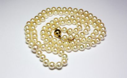 null SAUTOIR de perles de culture, le fermoir en or jaune. Poids brut : 46,8 g Longueur...