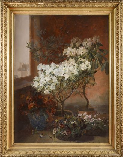 null Eugène Jules EUDES (XIXème -XXème siècle)
Intérieur aux arbustes et fleurs
Huile...