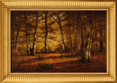 null Adrien SCHULZ (1851-1931)
Clairière en forêt de Fontainebleau
Huile sur panneau
Signée...