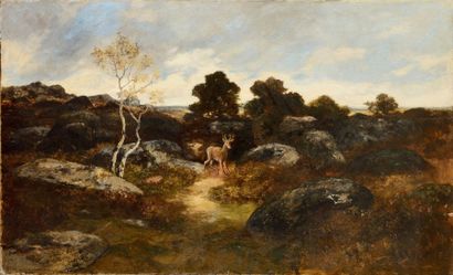 null Amédée SERVIN (1829-1884) Jeune cerf dans les rochers Huile sur panneau (fentes...