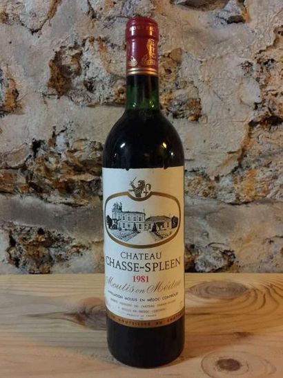 null 6 Blle Chateau CHASSE SPLEEN (Moulis) 1981 - Belles