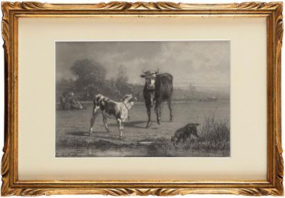 null Émile VAN MARCKE (1827-1890) Vache et son veau à la mare Crayon, encre noire...