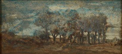 null Theodore ROUSSEAU (1812-1867) Groupe d'arbres à Boisrémond près de Faÿ en Berri,...