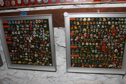 null " Cadres de pin's" Série de 14 cadres contenant des centaines de pin's. Thèmes...