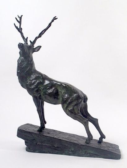 null René VARNIER (Xxe) Le Cerf bronze à patine verte Signé sur la terrasse 53 x...