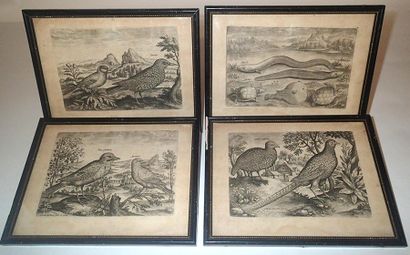 null Adriaen COLLAERT (1560 - 1618) (d'après) Paysage aux oiseaux Suite de huits...