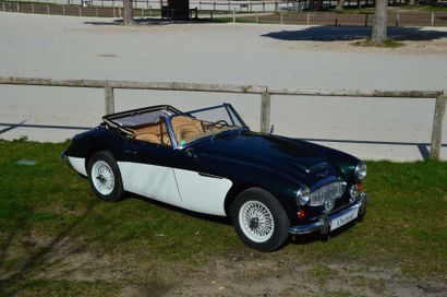 null 1964 AUSTIN HEALEY 3000 MK III châssis n° 27713 Carte grise française

Produite...