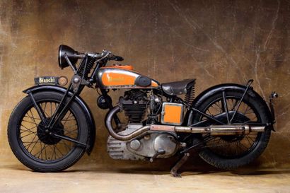 null 1934 

Bianchi tyPe 500 ss Freccia Azzura

500cc - N° cadre 65631

N° moteur...