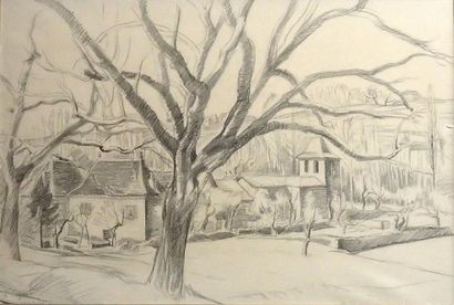 null Louis SOGNOT (1892-1970) Arbre devant le village, Sanburat (?) Crayon noir sur...