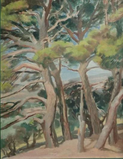 null Louis SOGNOT (1892-1970) Les pins Huile sur toile marouflé sur carton Trace...