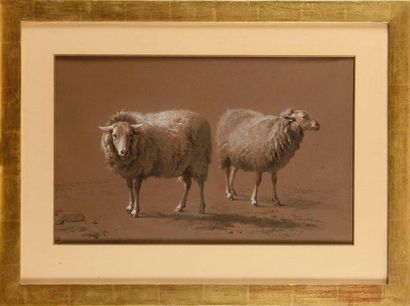 null Eugène VERBOECKHOVEN (1798-1881) Deux moutons, 1870 Pierre noire et craie blanche...