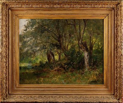 null Louis Rémy MATIFAS (1847-1896) La mare sous les arbres Huile sur toile rentoilée...