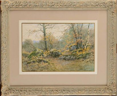 null Louis DELCUS (XIX-XXe siècle) Rochers en automne, forêt de Fontainebleau Aquarelle...