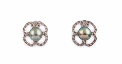 null PAIRE DE BOUCLES D’OREILLES en or gris retenant une perle de Tahiti, dans un...