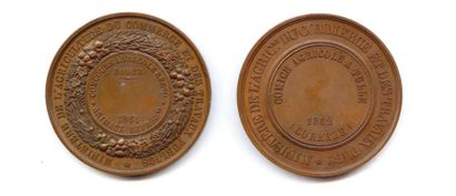 null Lot de deux médailles en bronze Napoléon III : Ministère de l’Agriculture, du...