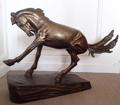 null Frederic Sackrider REMINGTON (1861-1909) (d'après) Ruade de Cheval Bronze patiné...