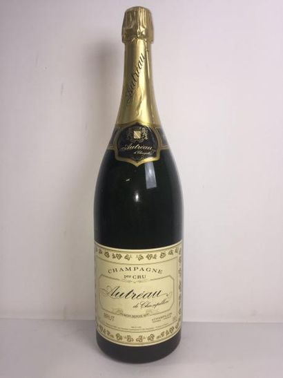 null 1DMg CHAMPAGNE AUTREAU DE CHAMPILLON SA - Superbe/CBO