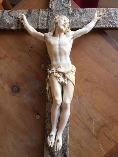 null CHRIST en ivoire sculpté. XIXème siècle Haut : 30 cm