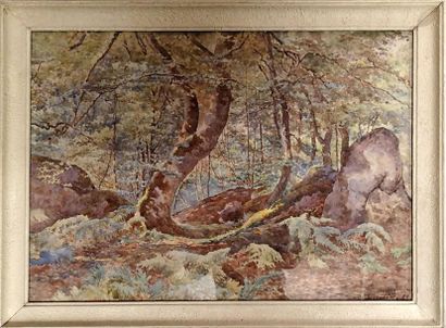 null Marie-Désirée BOURGOIN (1839-1912) Sous bois en foret de Fontainebleau Aquarelle...