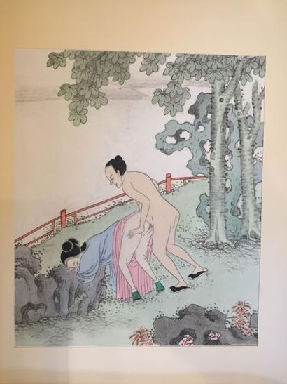 null LE LIVRE DE L'OREILLER, estampes erotiques chinoises Edition Au cercle du livre...