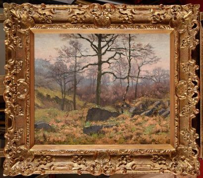null Louis CLESSE (1889-1961) Les rochers en forêt Huile sur toile Signée en bas...