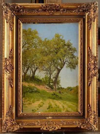 null Jean DESBROSSES (1835-1906) Arbres sur la colline Huile sur toile Signée en...