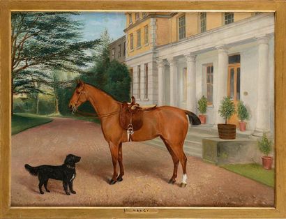 null Ecole anglaise de la fin du XIXe siècle Portraits des chevaux Nancy et Foxolove...