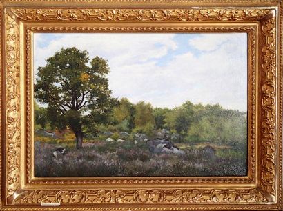 null ECOLE FRANCAISE XIXème siècle, Rochers en forêt de Fontainebleau Huile sur panneau...