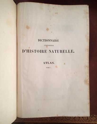 null Charles d'ORBIGNY Dictionnaire universel d'histoire naturelle résumant et complétant...