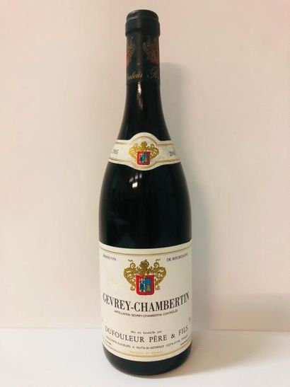 null 2 Blle GEVREY CHAMBERTIN (Dufouleur) 2005 - Belles