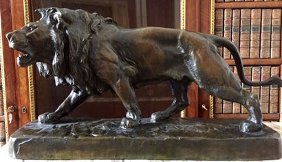 null Louis VIDAL dit "Vidal L'AVEUGLE" (1831-1892) Lion rugissant Bronze à patine...