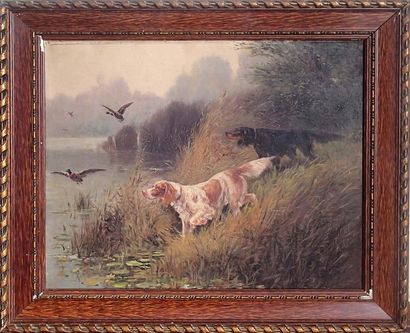 null Eugène PETIT (1839-1886) Deux setters en chasse Huile sur toile Signée en bas...