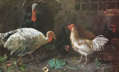 null Gaetano MORMILE (1839-1890) Dindons et poules Huile sur toile Signée en bas...