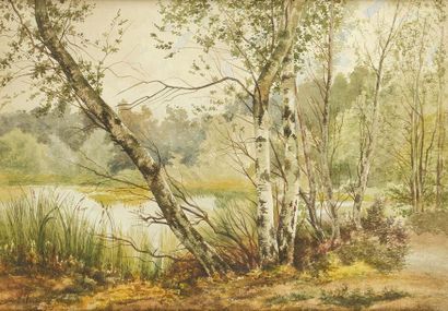 null Auguste ALLONGÉ (1833-1898) L'étang en sous-bois Aquarelle Signée en bas à gauche...