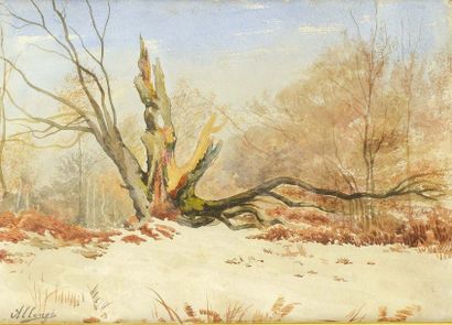 null Auguste ALLONGÉ (1833-1898) Forêt sous la neige Aquarelle Signée en bas à gauche...