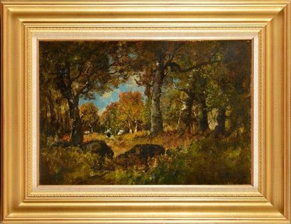 Camille MAGNUS (1850-1877) Fagotière en forêt de Fontainebleau 

Huile sur toile...