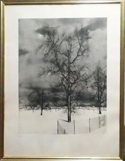 Michel Ciry (1919) Les arbres sous la neige 

Lithographie 

Signée en bas à droite,...