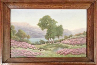 V. VEZIEN (XIX) Paysage à la mare et au lac 

Huile sur toile 

Signée en bas à gauche...