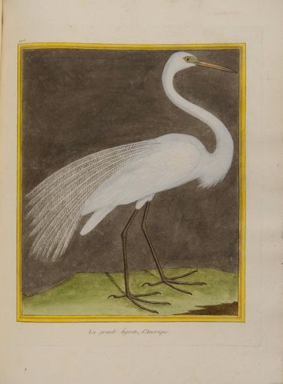 null BUFFON (Georges-Louis Leclerc de). Histoire naturelle des oiseaux. Paris : imprimerie...