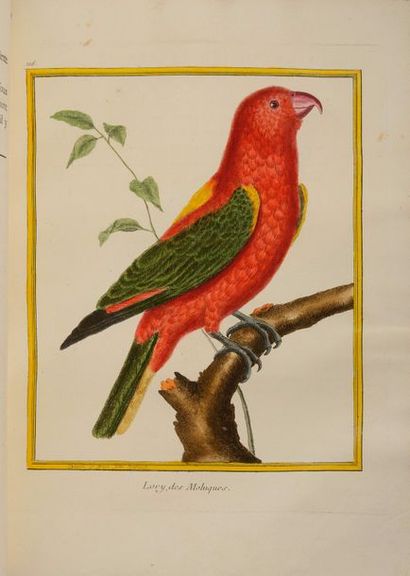 null BUFFON (Georges-Louis Leclerc de). Histoire naturelle des oiseaux. Paris : imprimerie...