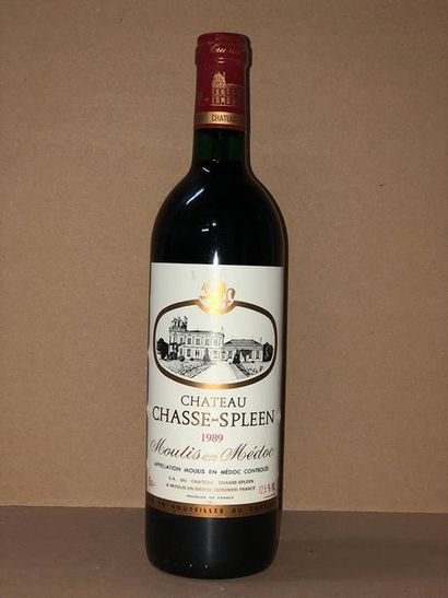 null 12 Blle Château CHASSE SPLEEN (Moulis) 1989 - 10 NLB / 2 Epaule / CBO