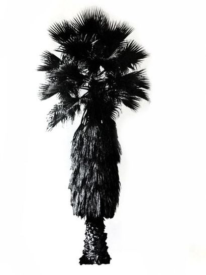 null EDWARD RUSCHA (Né en 1937) A Few Palm Trees, 1971 Heavy Industry Publications,...