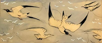 null GUY ARNOUX (1886-1951) Oiseaux, 1925 Aquarelle sur traits de crayon Non signée...