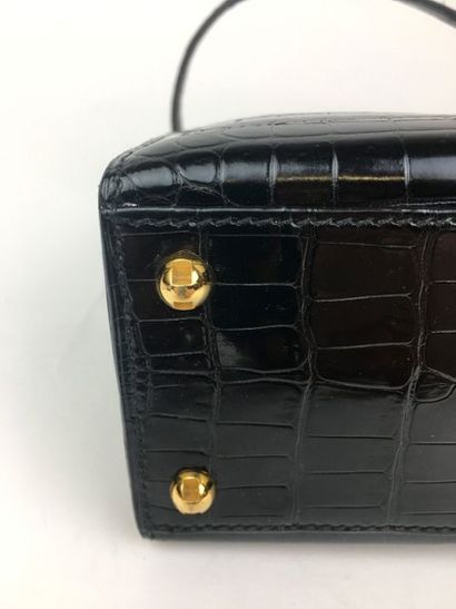 null HERMES PARIS Sac à main Planete crocodile, porosus doublure agneau tanne noir...