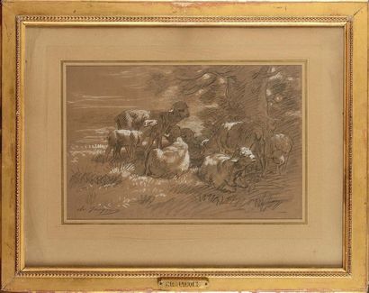 null Charles JACQUES (1879-1959) Moutons Crayon noir et craie blanche Signé en bas...