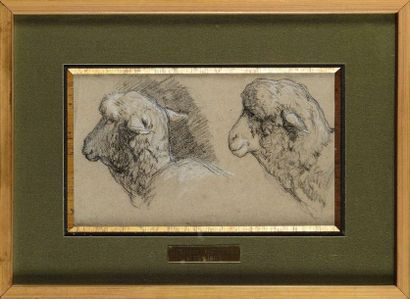 null Jean Ferdinand CHAIGNEAU (1830-1906) Etude de mouton Fusain et craie blanche...
