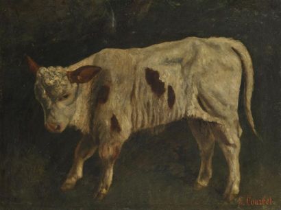 null Gustave COURBET (Attribué à) 
- Le boeuf